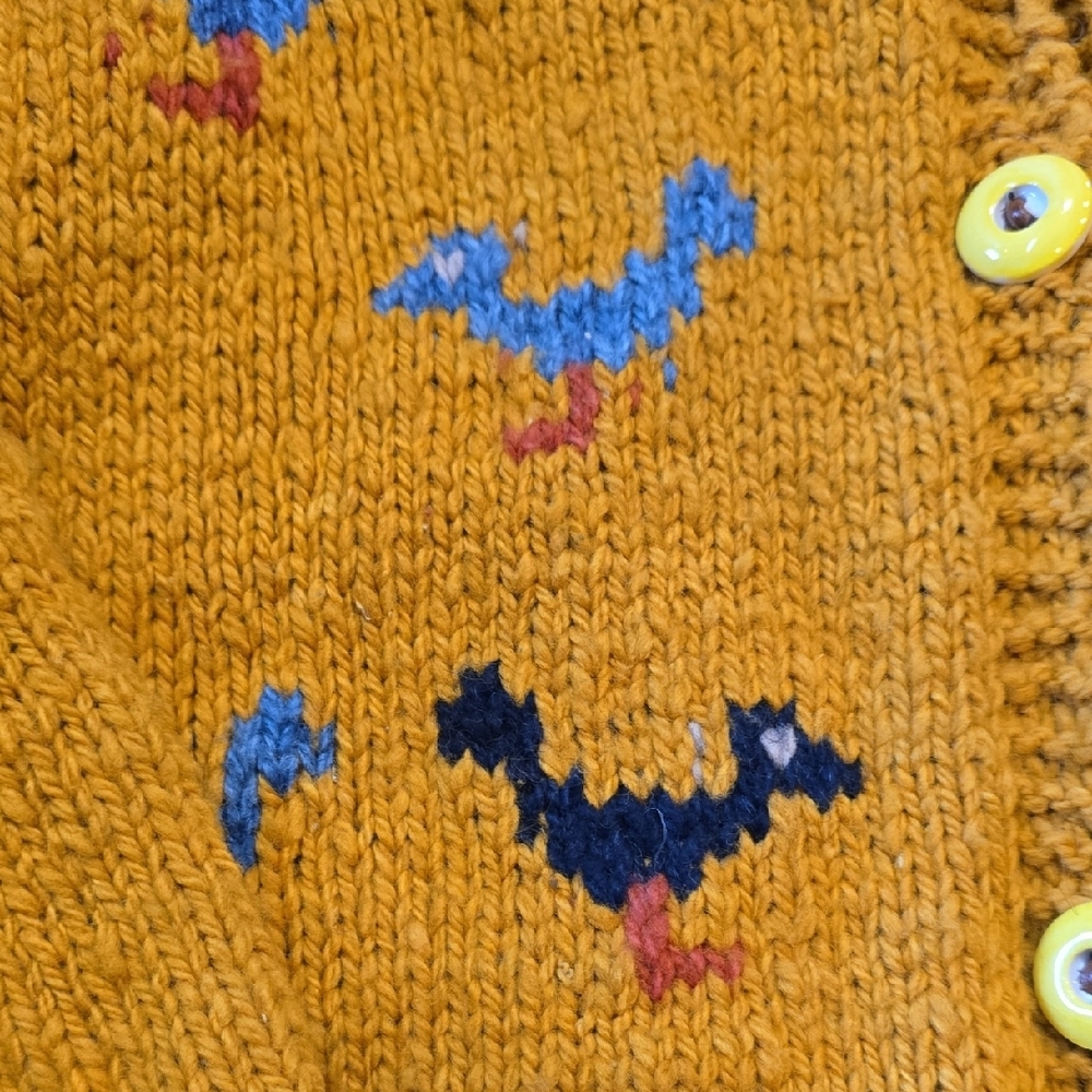 Mustard Yellow Cardigan with Bird Pattern - Picture 5 of 6